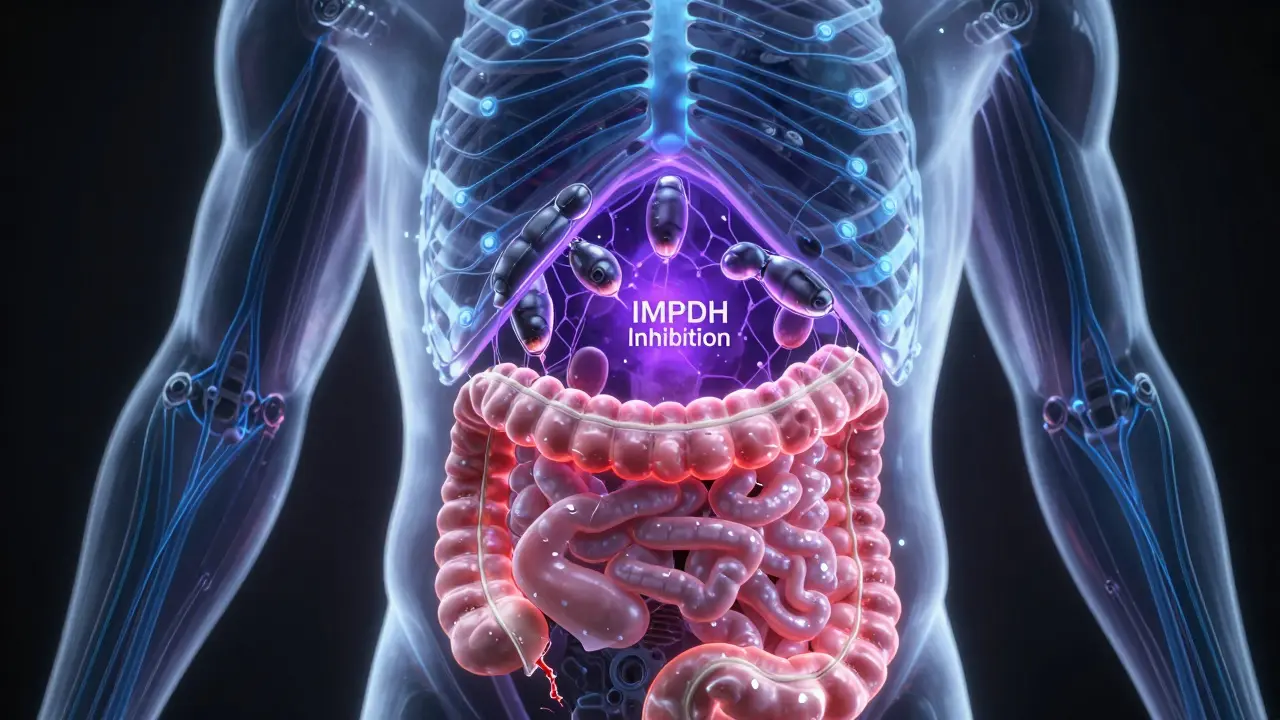 Managing Mycophenolate GI Side Effects: Nausea and Diarrhea Guide